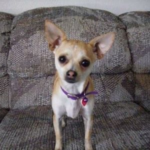 Meet your Posher, Kim